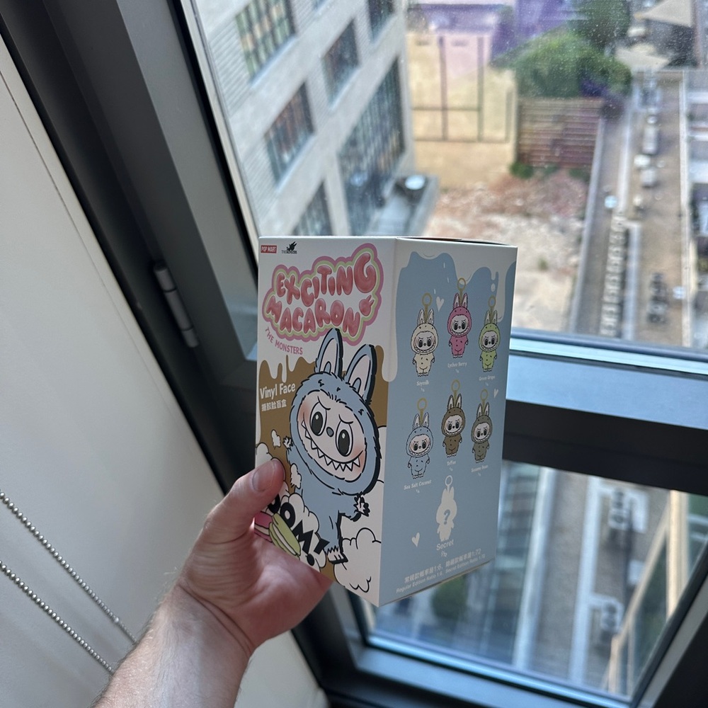Exciting Macaron Vinyl Figure